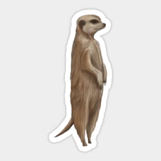 Its a Meerkat Sticker